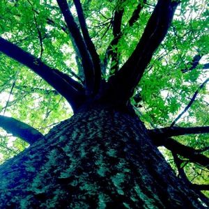 Meet your Posher, Mary martha